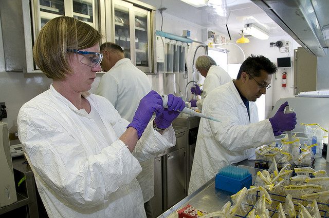 Why salmonella is so hard to beat