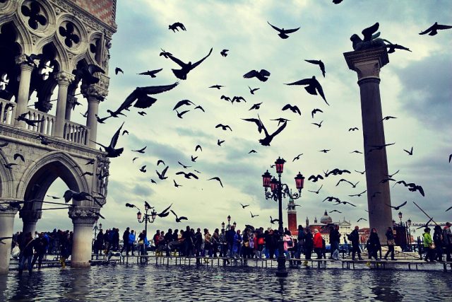 PODCAST: A Sense of Place digs into the Venetian lagoon