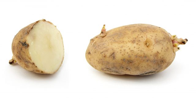 PODCAST: Potato Potato, episode 1