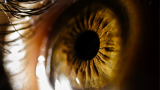human eye