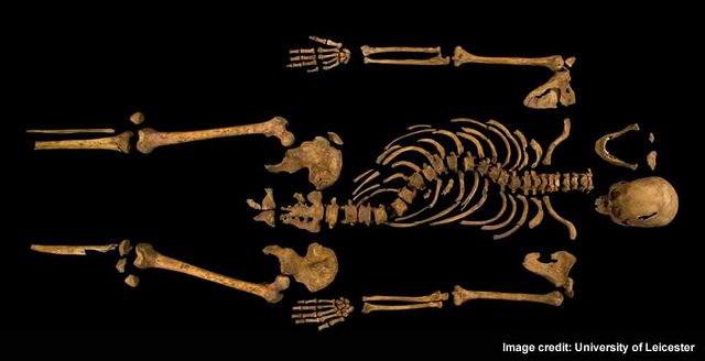 Putting names to bones