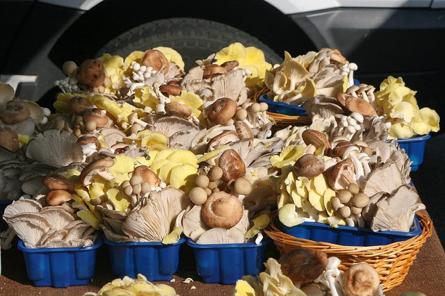 There’s fungus in your food