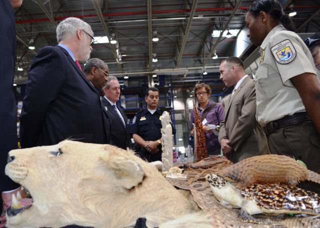 VIDEO: Forensic genetics for saving wildlife