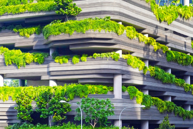 A greener concrete jungle