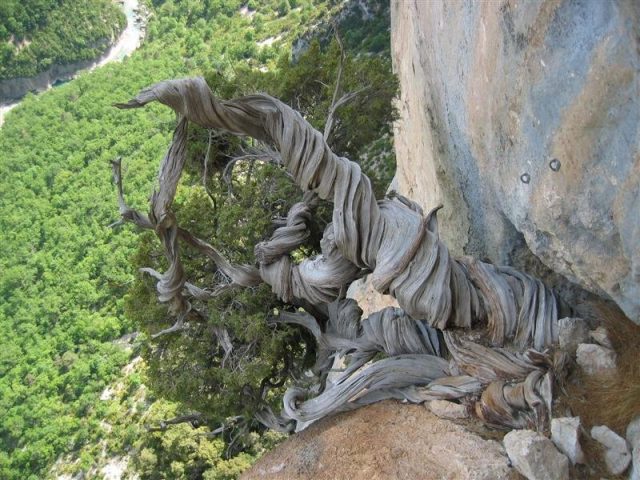 Nature on the edge