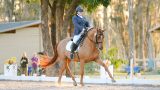A four-legged two-step