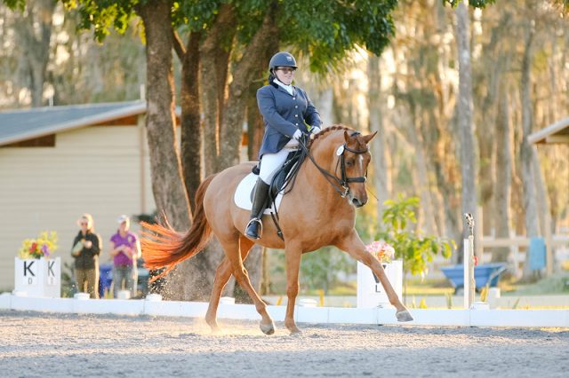 A four-legged two-step