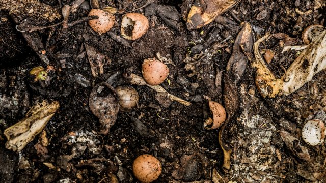 How I will try to convince myself (and you) to compost