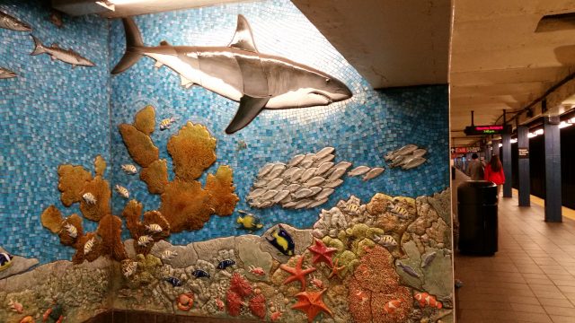 The inner lives of fish
