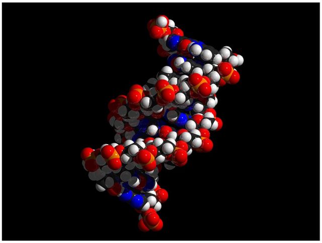Weathering the storm of genetic data