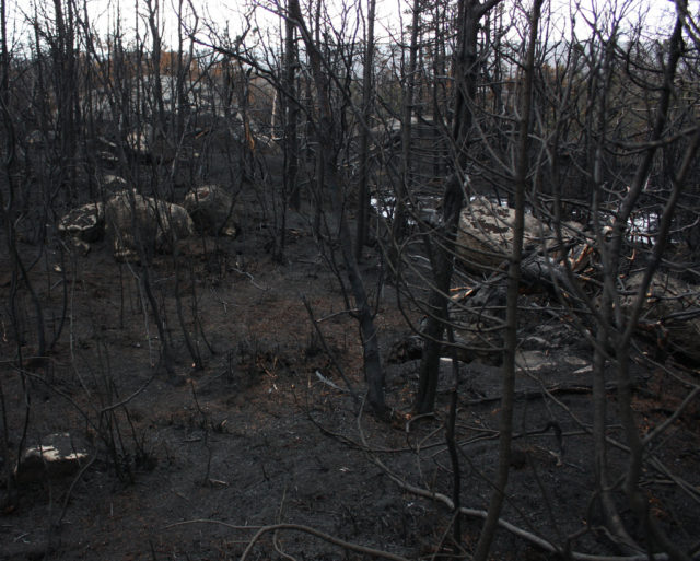 When a natural disaster isn’t a disaster