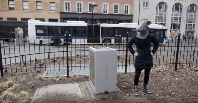 VIDEO: Cleanliness is next to ratlessness