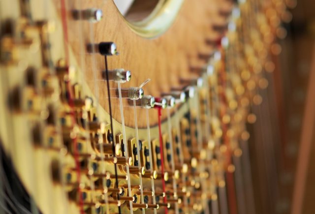 PODCAST: The harp doctor is in