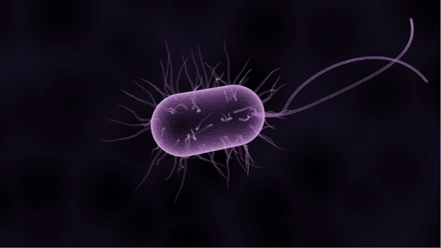Giving antibiotics a boost