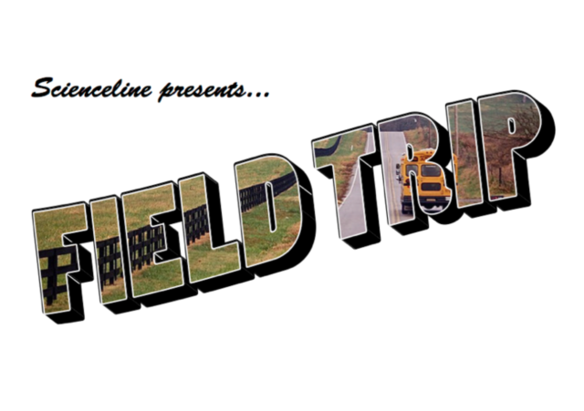 Field Trip