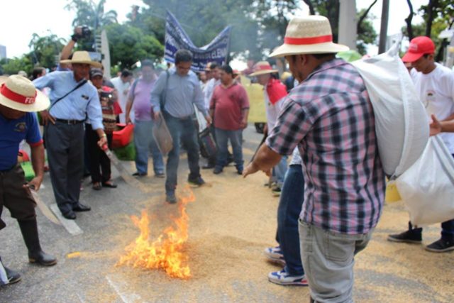Changes in Ecuador’s ‘seed law’ angers and frustrates scientists