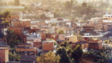 A Brazilian city is using DNA to combat the ancient scourge of rats