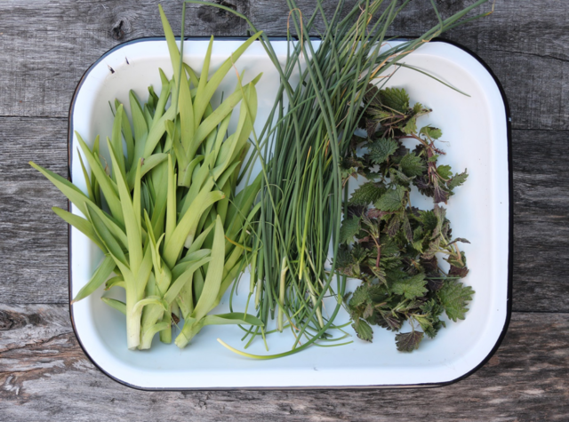 Foragers are eating wild in America’s concrete jungles