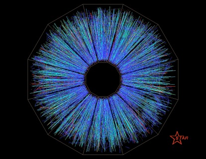 When we met... [A particle shower produced at RHIC, a collider similar to the upcoming LHC. CREDIT: BROOKHAVEN NATIONAL LABORATORIES]