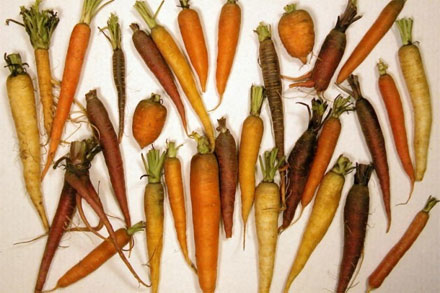 carrot allergy cross reactivity