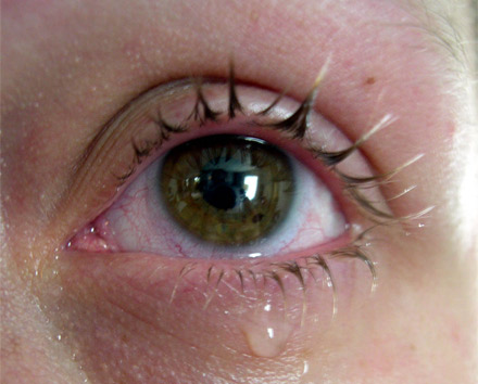 What Are Tears Made Of and Why Do We Cry?