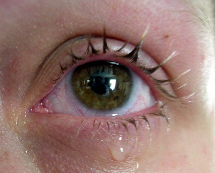 What Are Tears Made Of and Why Do We Cry?​