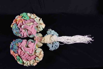 [KNITTED BRAIN (c) KAREN NORBERG, 2006]