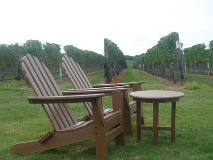 Palmer Winery, Aquebogue, Long Island. [CREDIT: SABINA BORZA]