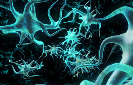 Neurons. [CREDIT: GUNILLA ELAM]