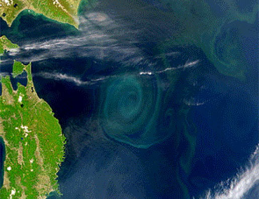 Looking down at the ocean from the Weatherbird II. The large swirl in the middle is an plankton bloom. [CREDIT: SeaWiFS Project/NASA and GeoEYE]