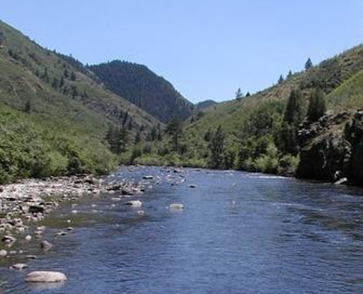 Estrogen invades Colorado's South Platte River. [Credit:Colorado Division of Water Resources]