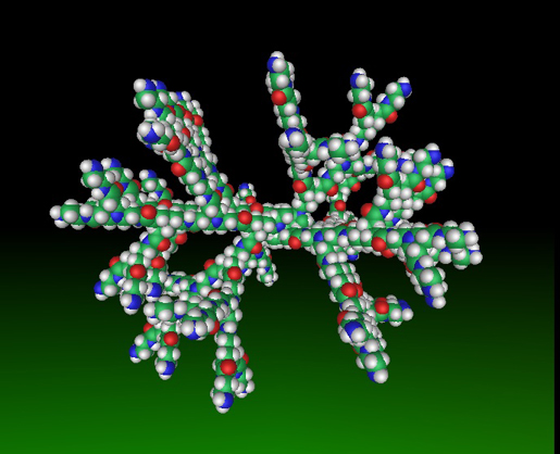 Molecular image of a dendrimer. [Credit: James Canary]