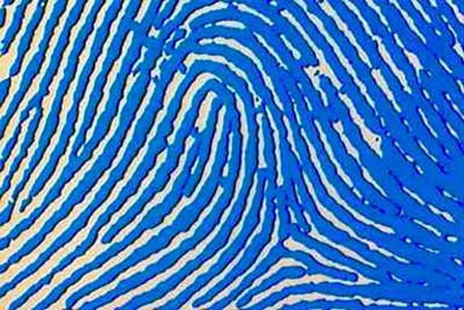 Close up image of a fingerprint. [Credit: Tom Harris].