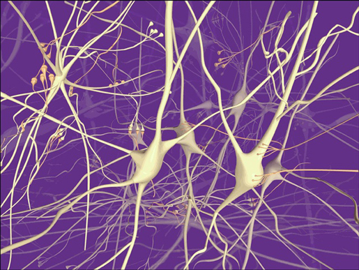 Computer-rendered graphic of neurons at work. [Credit: cerebromente.org]