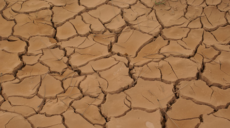 Parched earth bakes in the sun in Portugal. Some scientists hope genetically modified rice will eventually help feed people stricken by drought in countries such as India. [Credit: Samuel Rosa]
