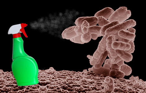 Antibacterials vs. E. coli. Who will win? [Credit: Spray bottle, 
Gokhan Okur. E. coli, Eric Erbe. Compiled by Karina Hamalainen.]