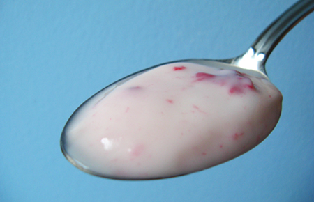 That spoonful of yogurt may promote the growth of beneficial bacteria to aid digestion.              
[Credit: Adam Hadhazy]