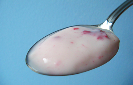 That spoonful of yogurt may promote the growth of beneficial bacteria to aid digestion.              
[Credit: Adam Hadhazy]