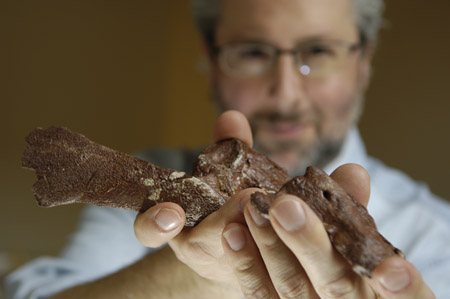 Neil Shubin holds part of a fossil from Tiktaalik roseae, a species that fills the gap between fish and land animals. [Credit: Dan Dry]