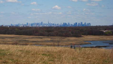 A view of the city from the landfill's north mound. <br>[CREDIT: MOLIKA ASHFORD]