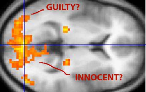 Can an fMRI like this one detect lies? [Credit: Washington Irvine, Wikimedia Commons]