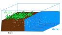 Mesocosm flash image