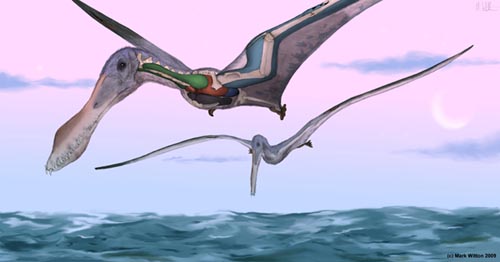 prehistoric flying reptile