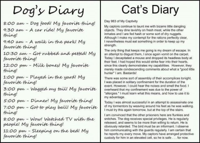 dogs-diary-640x458.jpg