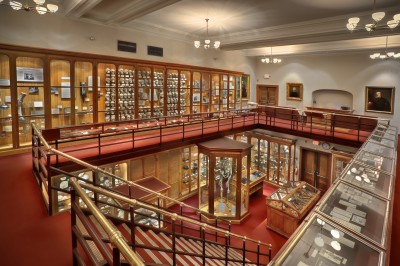 The Mutter Museum of The College of Physicians of Philadelphia. [Image credit: © 2009 George Widman Photography LLC, Licensed for use by the Mutter Museum of The College of Physicians of Philadelphia]