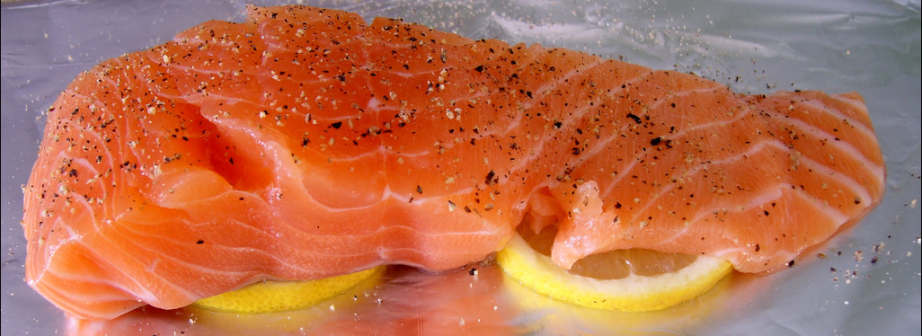 why-is-salmon-good-for-your-brain-scienceline