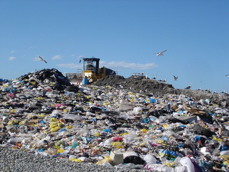 Breaking-Plastic-Bag-Habit