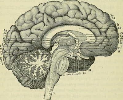 What you don’t know might hurt you - Scienceline