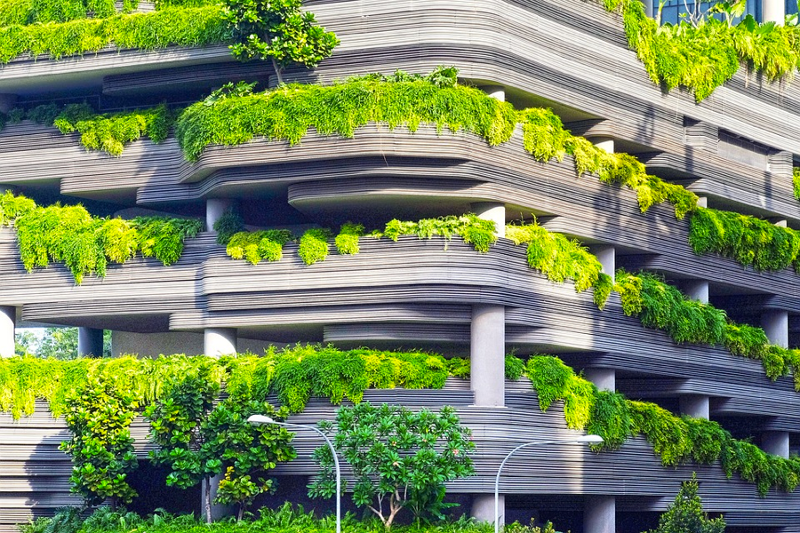 A greener concrete jungle - Scienceline