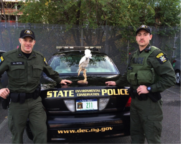 Wildlife cops are prepared for the most unpredictable species — people ...